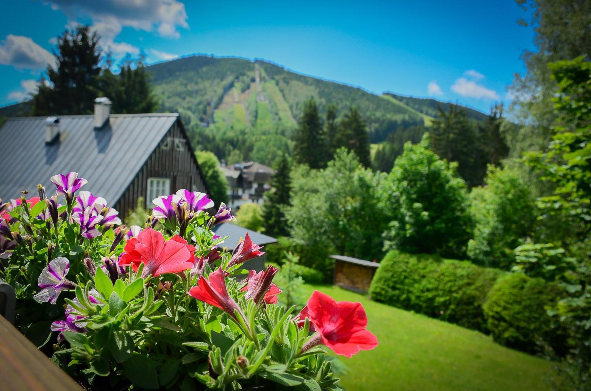 Hotel Friuli Harrachov Exterior foto